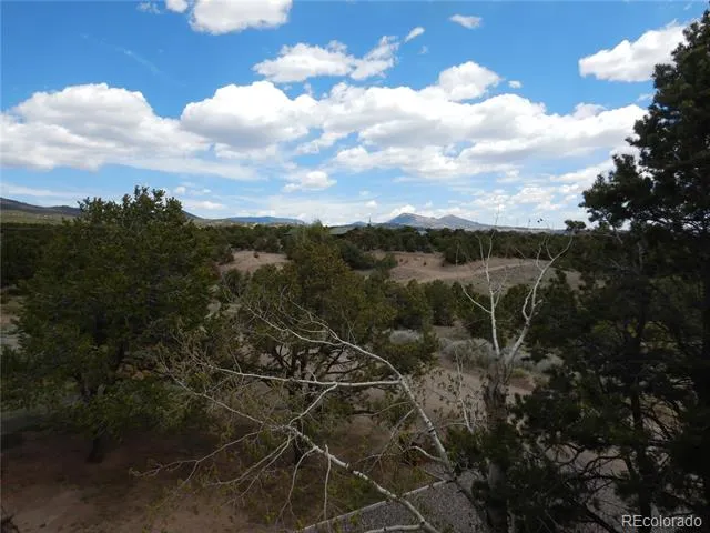 395 Kit Carson Road South Fork, CO 81154