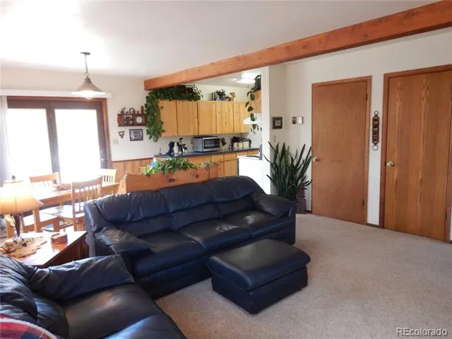 395 Kit Carson Road South Fork, CO 81154
