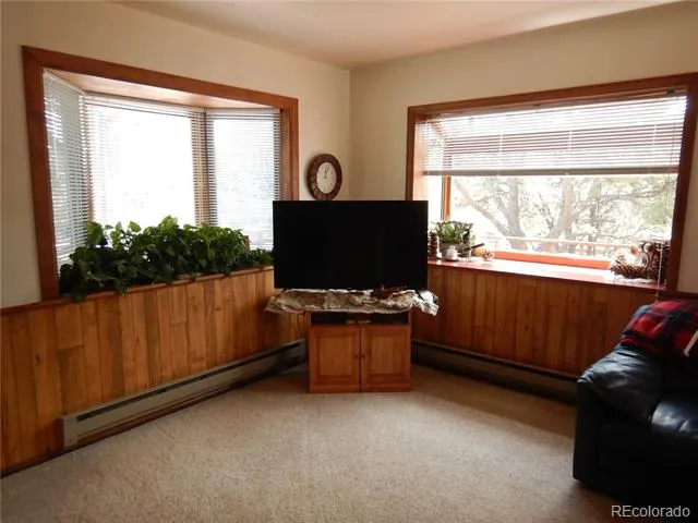 395 Kit Carson Road South Fork, CO 81154