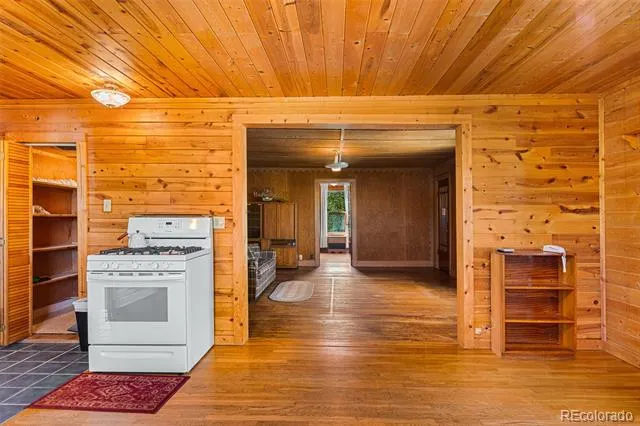 135 S Main Street Alma, CO 80420
