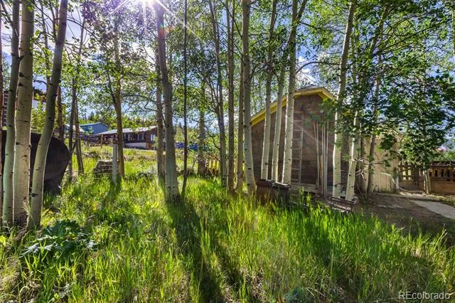 135 S Main Street Alma, CO 80420