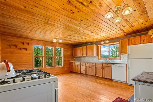 135 S Main Street Alma, CO 80420
