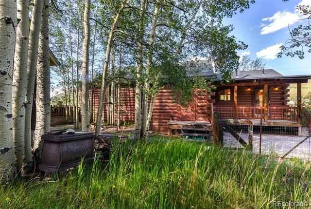 135 S Main Street Alma, CO 80420