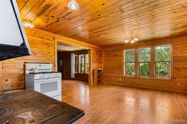 135 S Main Street Alma, CO 80420