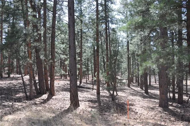 Wood Sorrel Rd Larkspur, CO 80118