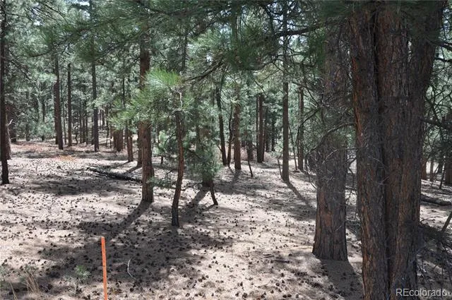 Wood Sorrel Rd Larkspur, CO 80118
