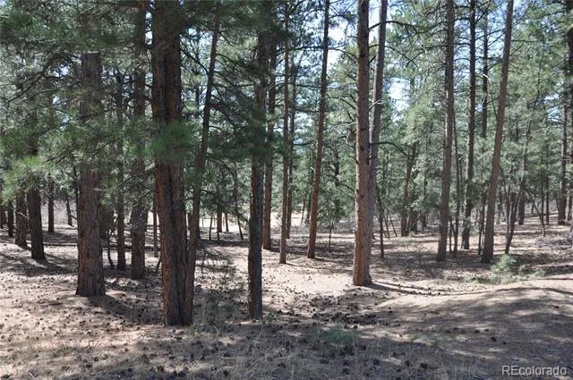 Wood Sorrel Rd Larkspur, CO 80118