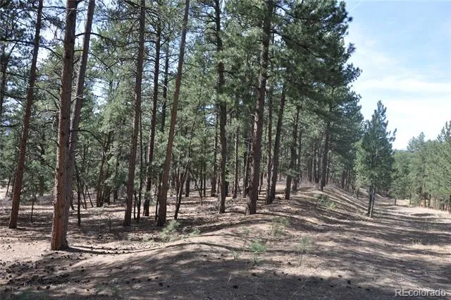 Wood Sorrel Rd Larkspur, CO 80118