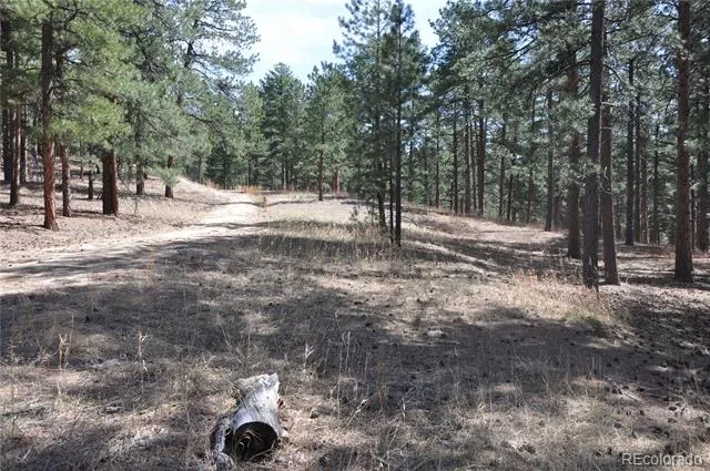 Wood Sorrel Rd Larkspur, CO 80118