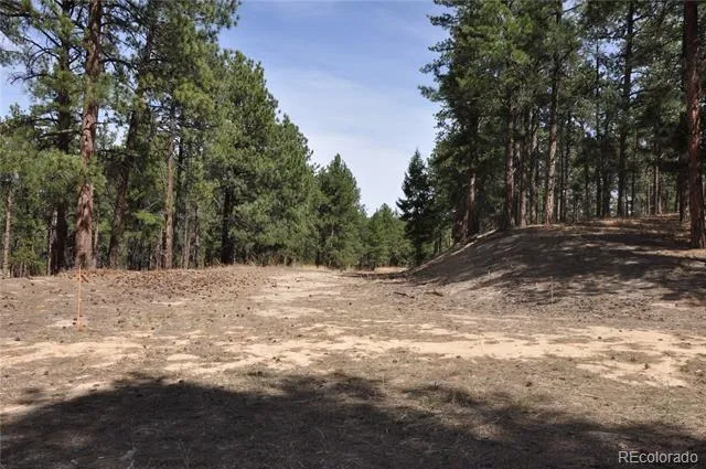 Wood Sorrel Rd Larkspur, CO 80118