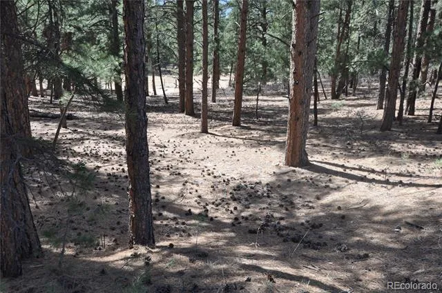 Wood Sorrel Rd Larkspur, CO 80118