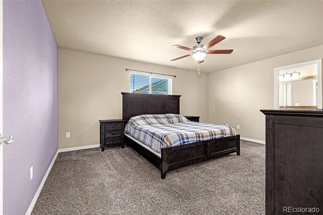 10924 Nolin Drive Colorado Springs, CO 80925