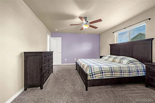 10924 Nolin Drive Colorado Springs, CO 80925
