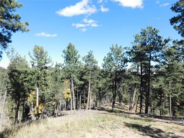 13886 Boulder Lane Larkspur, CO 80118