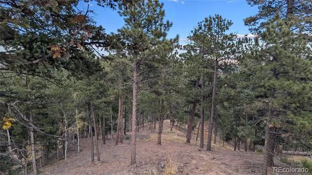 13886 Boulder Lane Larkspur, CO 80118
