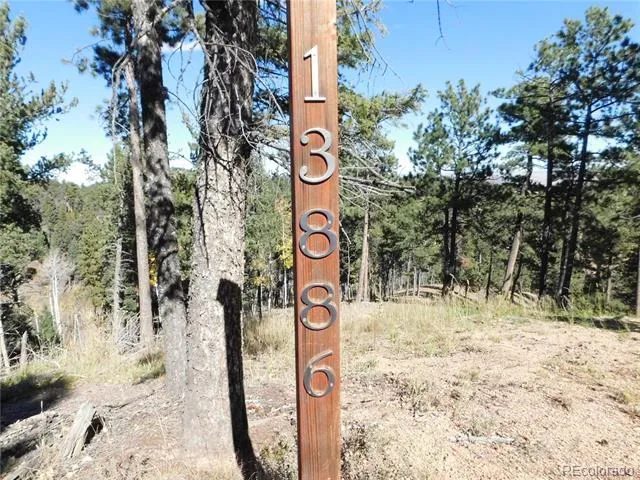 13886 Boulder Lane Larkspur, CO 80118