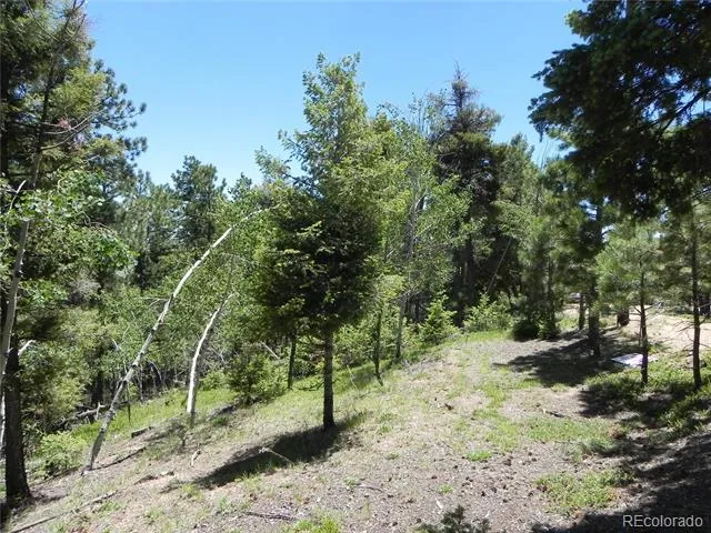 13886 Boulder Lane Larkspur, CO 80118