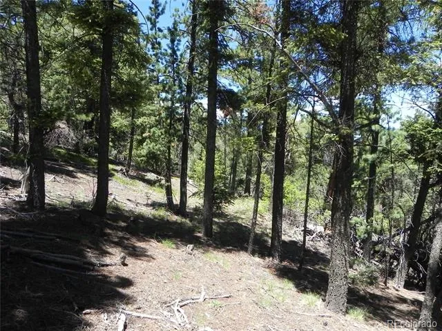 13886 Boulder Lane Larkspur, CO 80118
