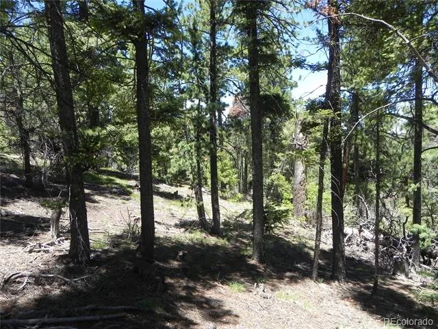 13886 Boulder Lane Larkspur, CO 80118