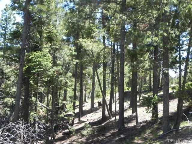 13886 Boulder Lane Larkspur, CO 80118