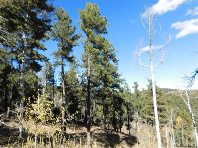 13886 Boulder Lane Larkspur, CO 80118