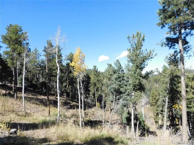 13886 Boulder Lane Larkspur, CO 80118