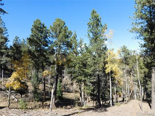 13886 Boulder Lane Larkspur, CO 80118