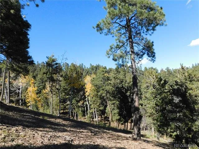 13886 Boulder Lane Larkspur, CO 80118