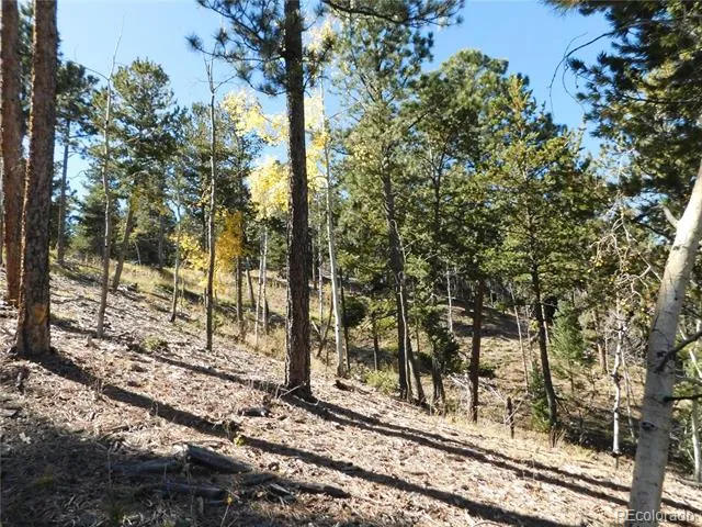 13886 Boulder Lane Larkspur, CO 80118