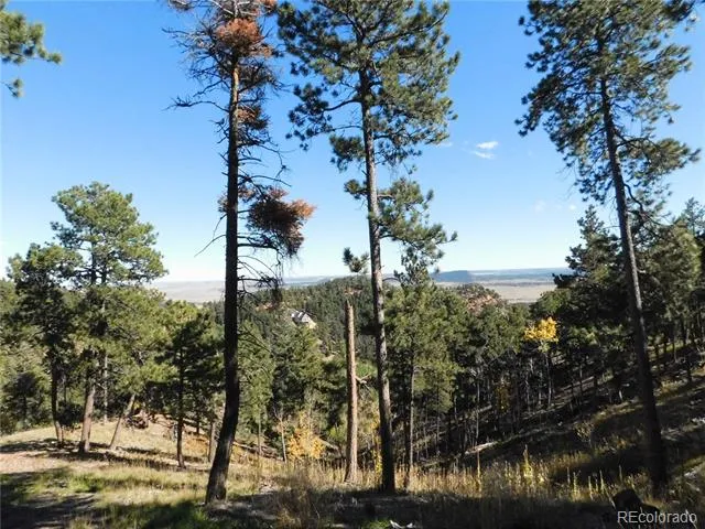 13886 Boulder Lane Larkspur, CO 80118
