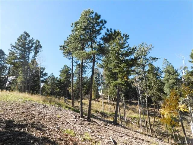 13886 Boulder Lane Larkspur, CO 80118