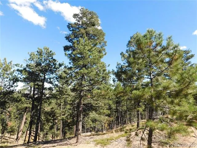 13886 Boulder Lane Larkspur, CO 80118
