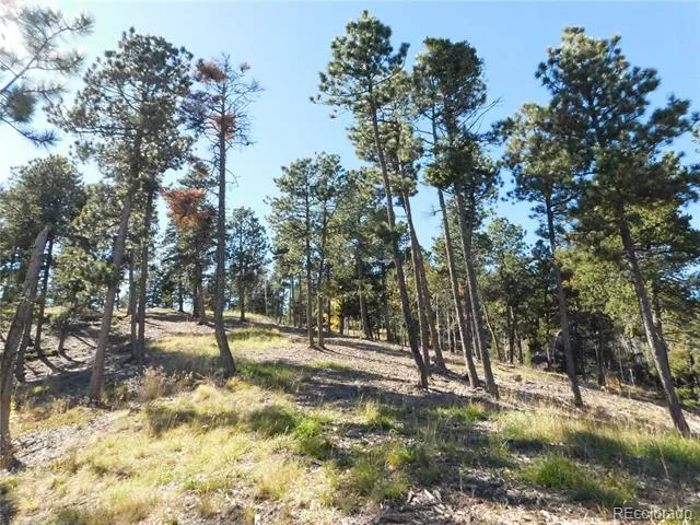 13886 Boulder Lane Larkspur, CO 80118