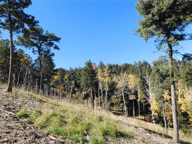 13886 Boulder Lane Larkspur, CO 80118