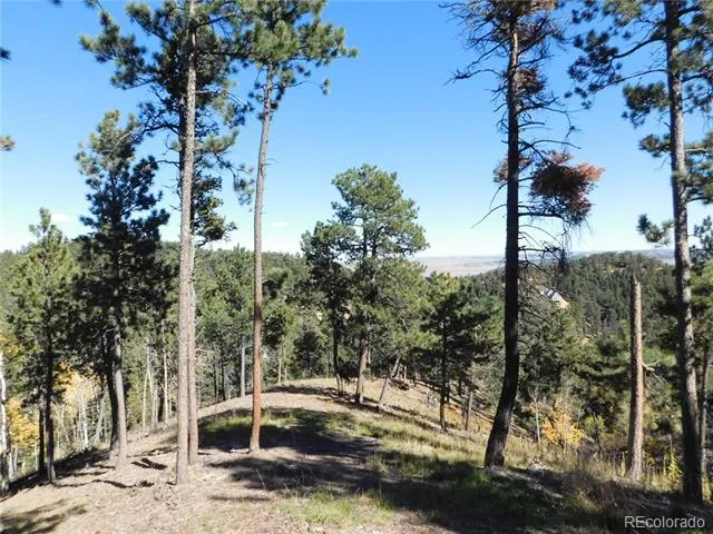 13886 Boulder Lane Larkspur, CO 80118