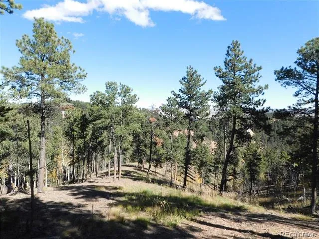 13886 Boulder Lane Larkspur, CO 80118