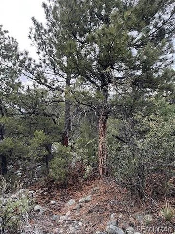 Lot 6 NN 18th Street Blanca, CO 81123