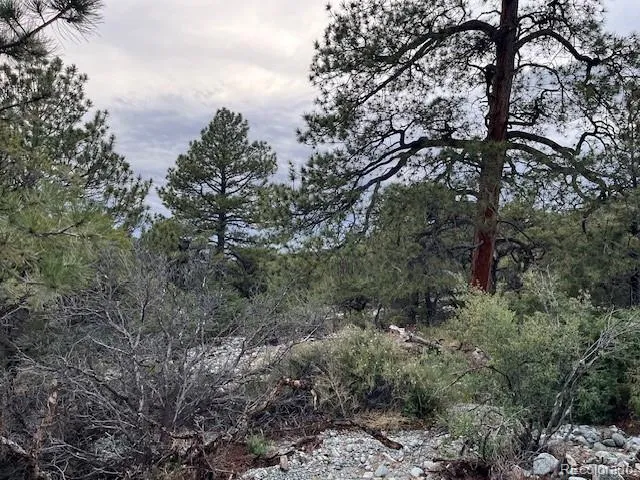 Lot 6 NN 18th Street Blanca, CO 81123