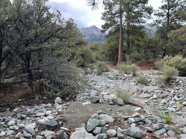 Lot 6 NN 18th Street Blanca, CO 81123