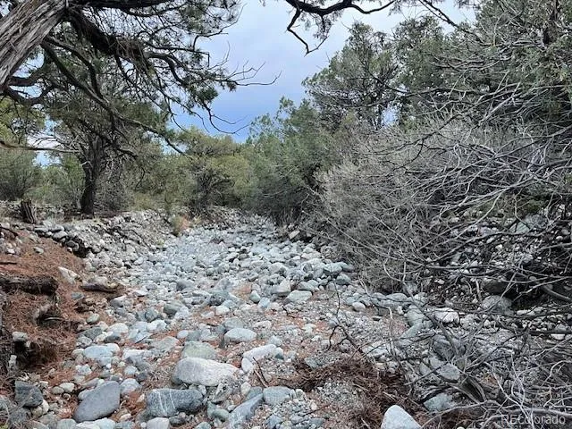 Lot 6 NN 18th Street Blanca, CO 81123