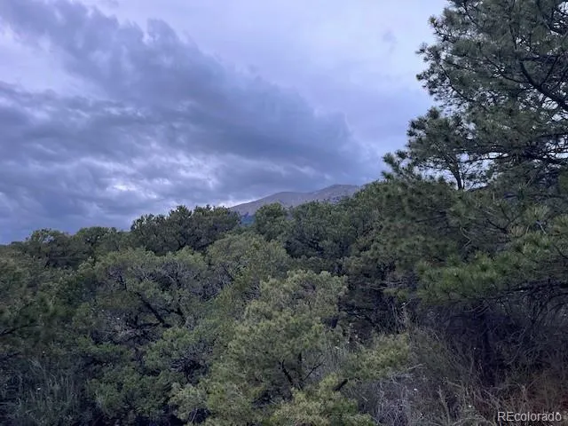Lot 6 NN 18th Street Blanca, CO 81123