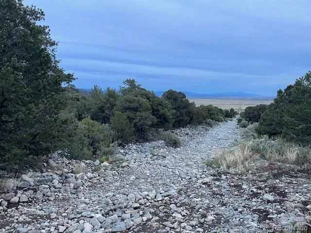 Lot 6 NN 18th Street Blanca, CO 81123