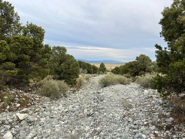 Lot 6 NN 18th Street Blanca, CO 81123
