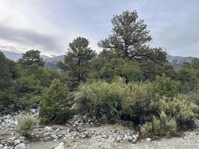 Lot 6 NN 18th Street Blanca, CO 81123