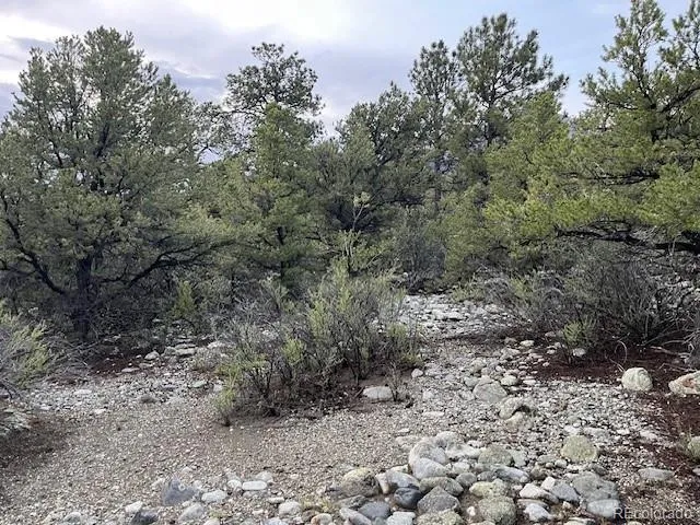Lot 6 NN 18th Street Blanca, CO 81123