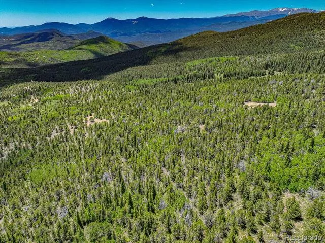 123 Yankee Hill Trail Black Hawk, CO 80427