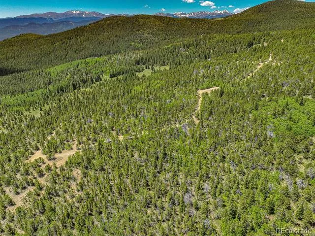 123 Yankee Hill Trail Black Hawk, CO 80427