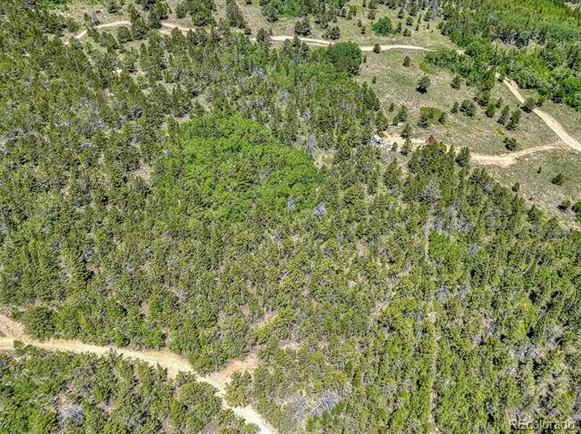 123 Yankee Hill Trail Black Hawk, CO 80427