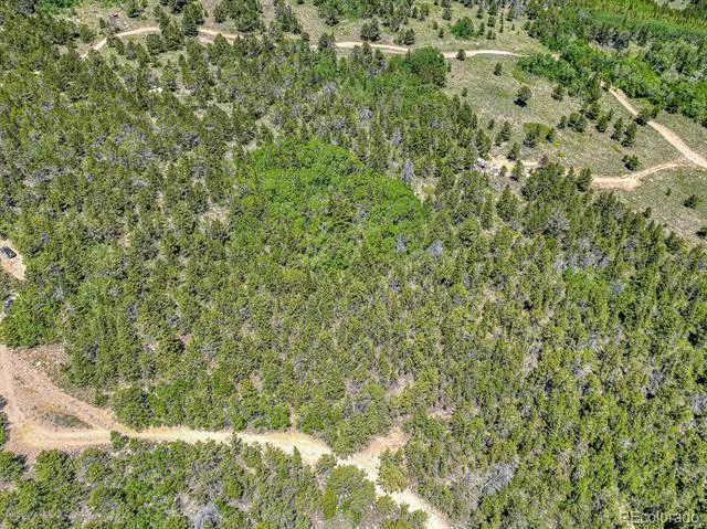 123 Yankee Hill Trail Black Hawk, CO 80427