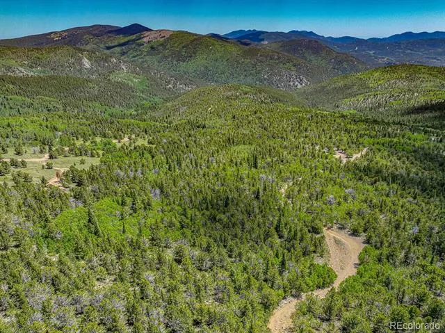 123 Yankee Hill Trail Black Hawk, CO 80427